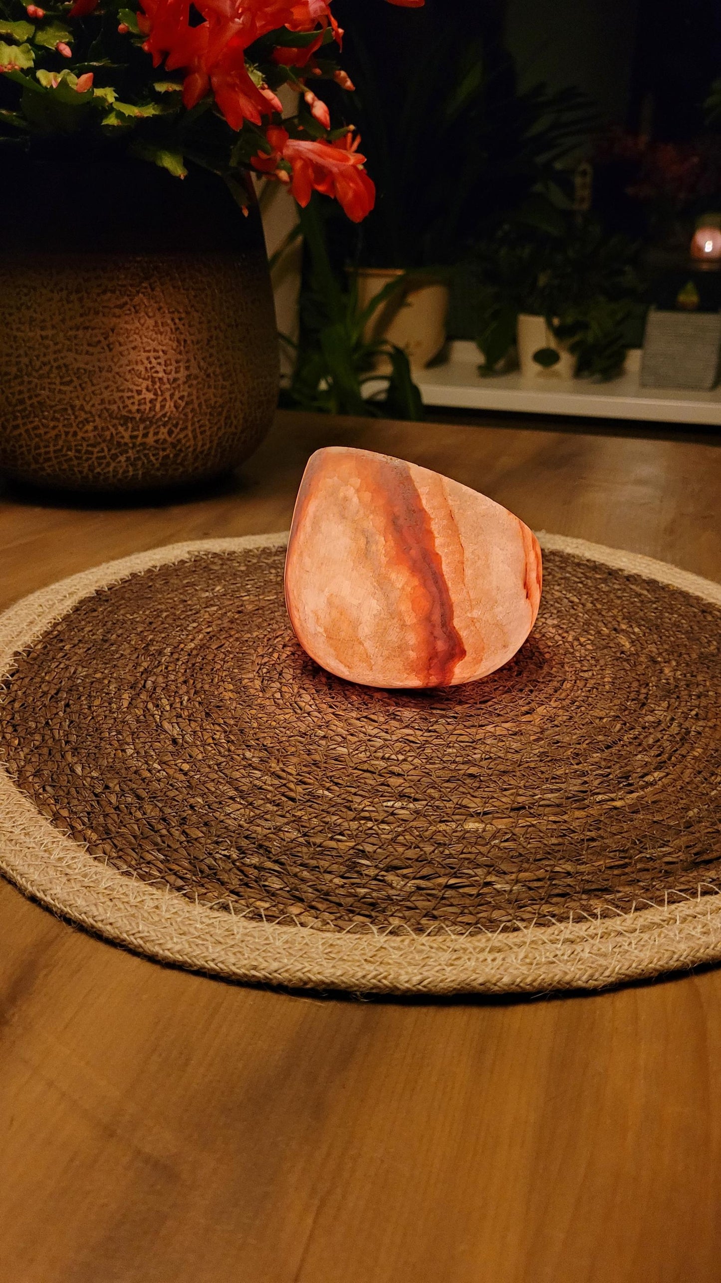 Coppa d’Arte - Art Bowl